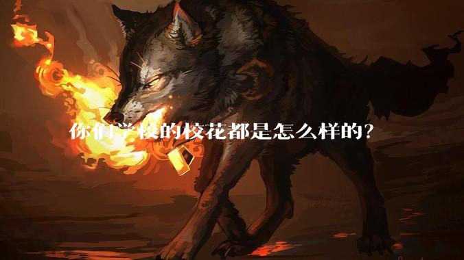 你们学校的校花都是怎么样的？