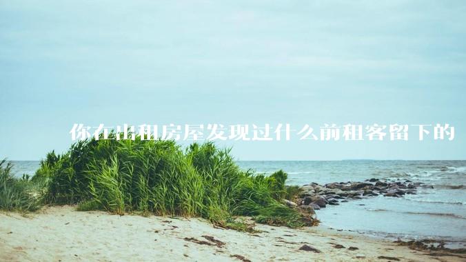 你在出租房屋发现过什么前租客留下的“宝藏”？