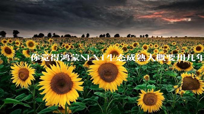 你觉得鸿蒙NEXT生态成熟大概要用几年?