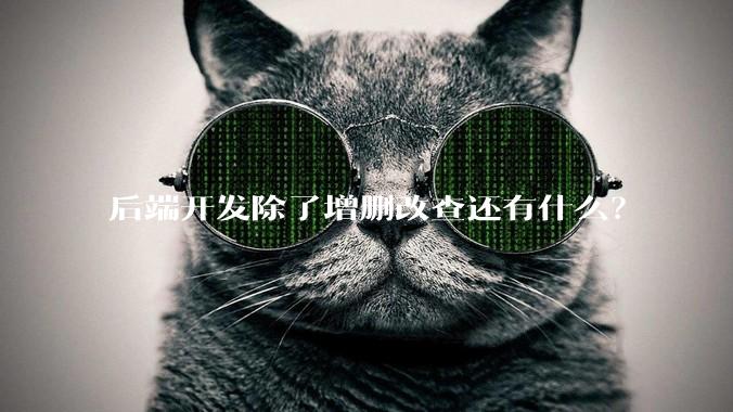 后端开发除了增删改查还有什么？