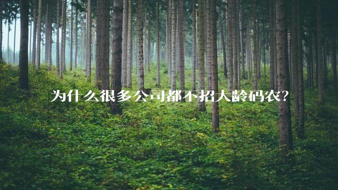 为什么很多公司都不招大龄码农？